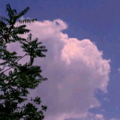 逍遥浪人yy玩版下载
